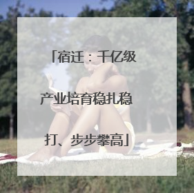 宿迁：千亿级产业培育稳扎稳打、步步攀高