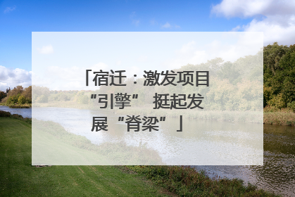 宿迁：激发项目“引擎” 挺起发展“脊梁”