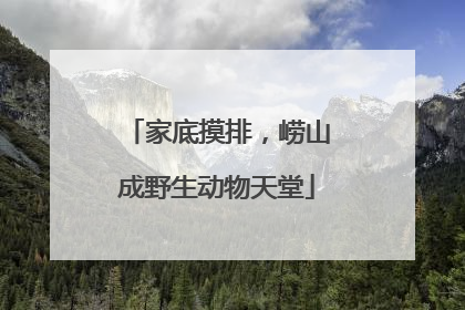家底摸排，崂山成野生动物天堂