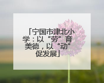 宁国市津北小学：以“劳”育美德，以“动”促发展