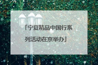 宁夏精品中国行系列活动在京举办
