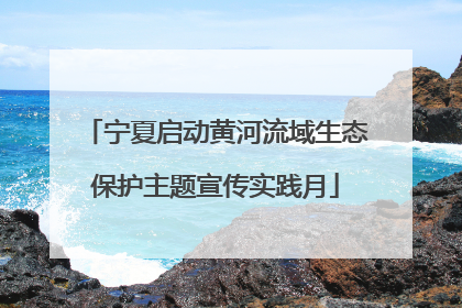 宁夏启动黄河流域生态保护主题宣传实践月