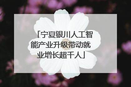 宁夏银川人工智能产业升级带动就业增长超千人