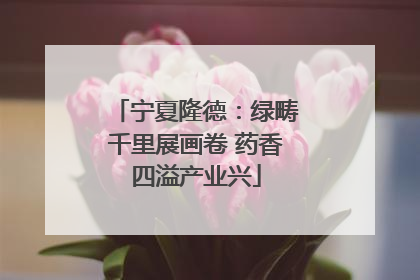 宁夏隆德：绿畴千里展画卷 药香四溢产业兴