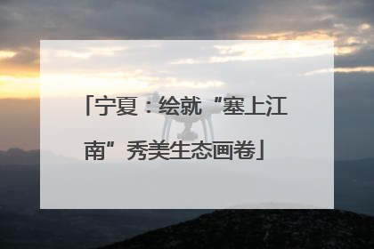 宁夏：绘就“塞上江南”秀美生态画卷
