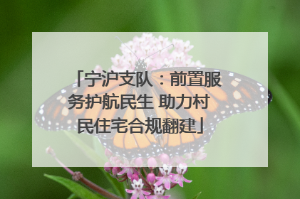 宁沪支队：前置服务护航民生 助力村民住宅合规翻建