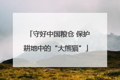守好中国粮仓 保护耕地中的“大熊猫”