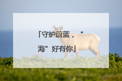 守护蔚蓝，“海”好有你