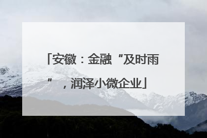 安徽：金融“及时雨”，润泽小微企业
