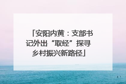 安阳内黄：支部书记外出“取经”探寻乡村振兴新路径