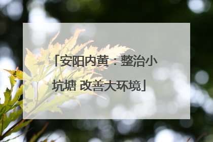 安阳内黄：整治小坑塘 改善大环境