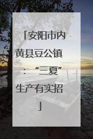 安阳市内黄县豆公镇：“三夏”生产有实招