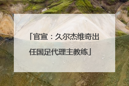 官宣：久尔杰维奇出任国足代理主教练