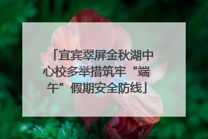 宜宾翠屏金秋湖中心校多举措筑牢“端午”假期安全防线