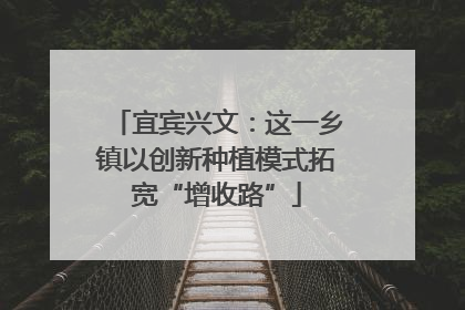 宜宾兴文：这一乡镇以创新种植模式拓宽“增收路”