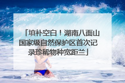 填补空白！湖南八面山国家级自然保护区首次记录珍稀物种宽距兰