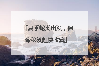 夏季蛇类出没，保命秘笈赶快收藏