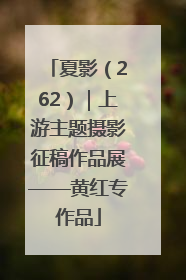 夏影（262）｜上游主题摄影征稿作品展——黄红专作品