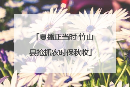 夏播正当时 竹山县抢抓农时保秋收