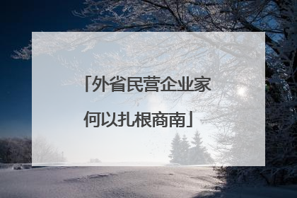 外省民营企业家何以扎根商南