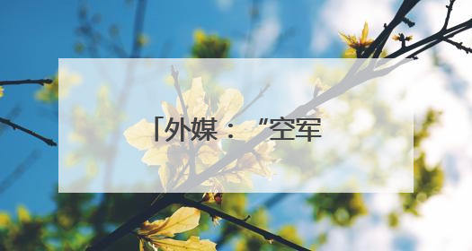 外媒：“空军一号”那些事