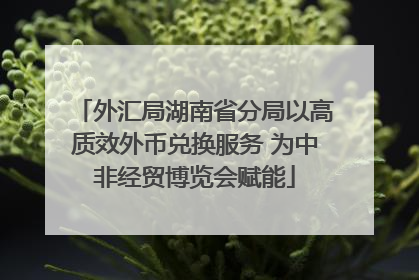 外汇局湖南省分局以高质效外币兑换服务 为中非经贸博览会赋能