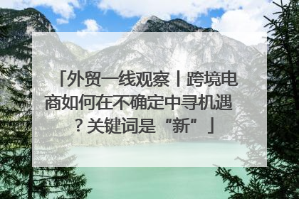 外贸一线观察丨跨境电商如何在不确定中寻机遇？关键词是“新”