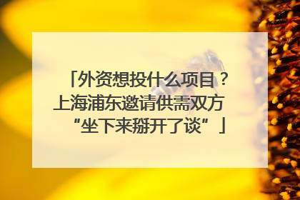 外资想投什么项目？上海浦东邀请供需双方“坐下来掰开了谈”