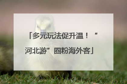 多元玩法促升温！“河北游”圈粉海外客