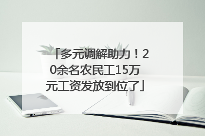 多元调解助力！20余名农民工15万元工资发放到位了