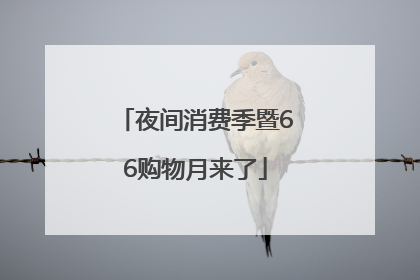 夜间消费季暨66购物月来了
