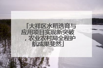 大祥区水稻选育与应用项目实现新突破，农业农村局全程护航成果斐然