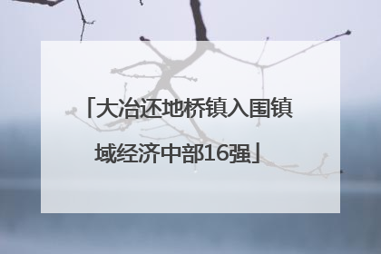 大冶还地桥镇入围镇域经济中部16强