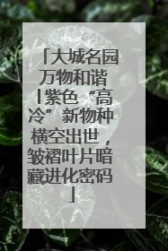 大城名园 万物和谐│紫色“高冷”新物种横空出世，皱褶叶片暗藏进化密码