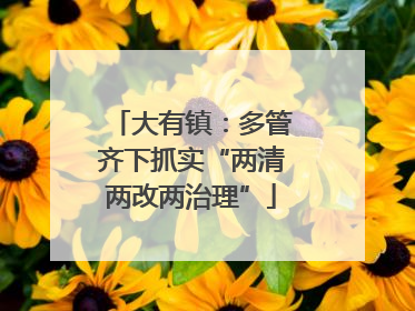 大有镇：多管齐下抓实“两清两改两治理”