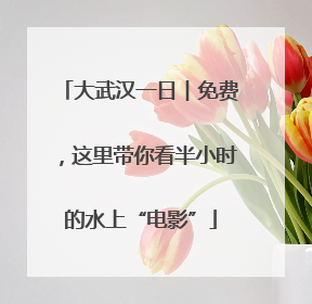 大武汉一日︱免费，这里带你看半小时的水上“电影”