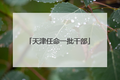 天津任命一批干部