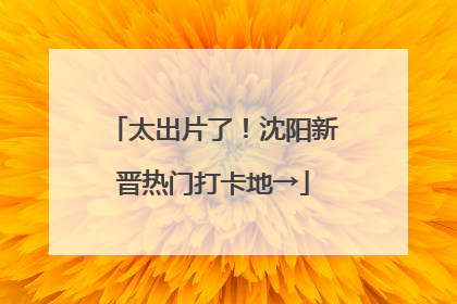 太出片了！沈阳新晋热门打卡地→