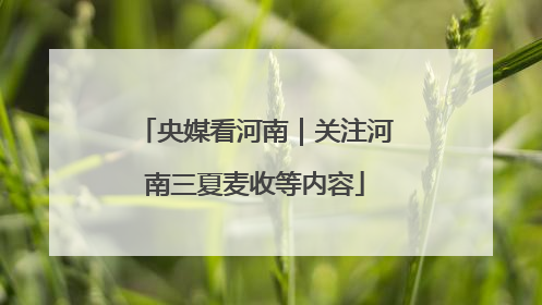 央媒看河南｜关注河南三夏麦收等内容