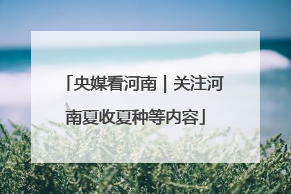 央媒看河南｜关注河南夏收夏种等内容
