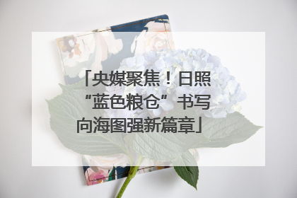 央媒聚焦！日照“蓝色粮仓”书写向海图强新篇章