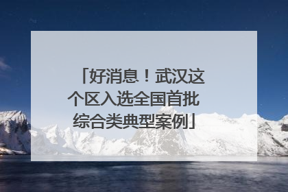 好消息！武汉这个区入选全国首批综合类典型案例