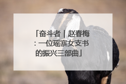 奋斗者｜赵春梅：一位瑶寨女支书的振兴三部曲
