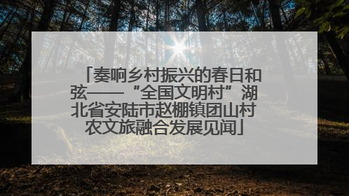 奏响乡村振兴的春日和弦——“全国文明村”湖北省安陆市赵棚镇团山村农文旅融合发展见闻
