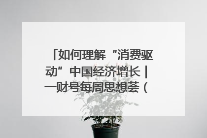 如何理解“消费驱动”中国经济增长｜一财号每周思想荟（第22期）