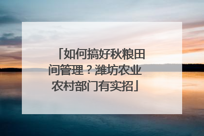 如何搞好秋粮田间管理？潍坊农业农村部门有实招