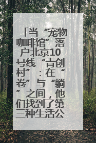 当“宠物咖啡馆”落户北京10号线“青创村”：在“卷”与“躺”之间，他们找到了第三种生活公式