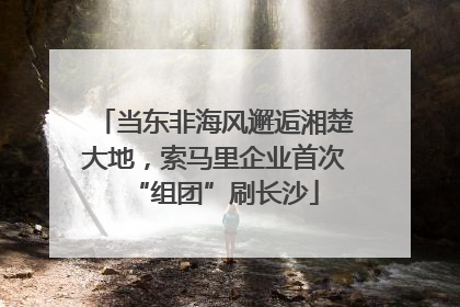 当东非海风邂逅湘楚大地，索马里企业首次“组团”刷长沙
