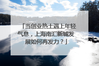 当创业热土遇上年轻气息，上海南汇新城发展如何再发力？
