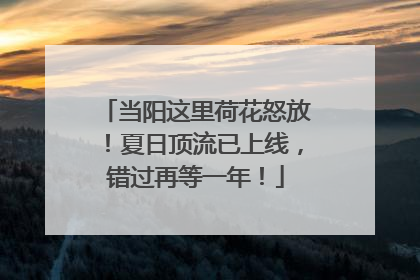 当阳这里荷花怒放！夏日顶流已上线，错过再等一年！